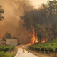 Illustration for article titled Photo of Koala and Firefighter Surrounded by Flames Perfectly Captures the Climate Emergency